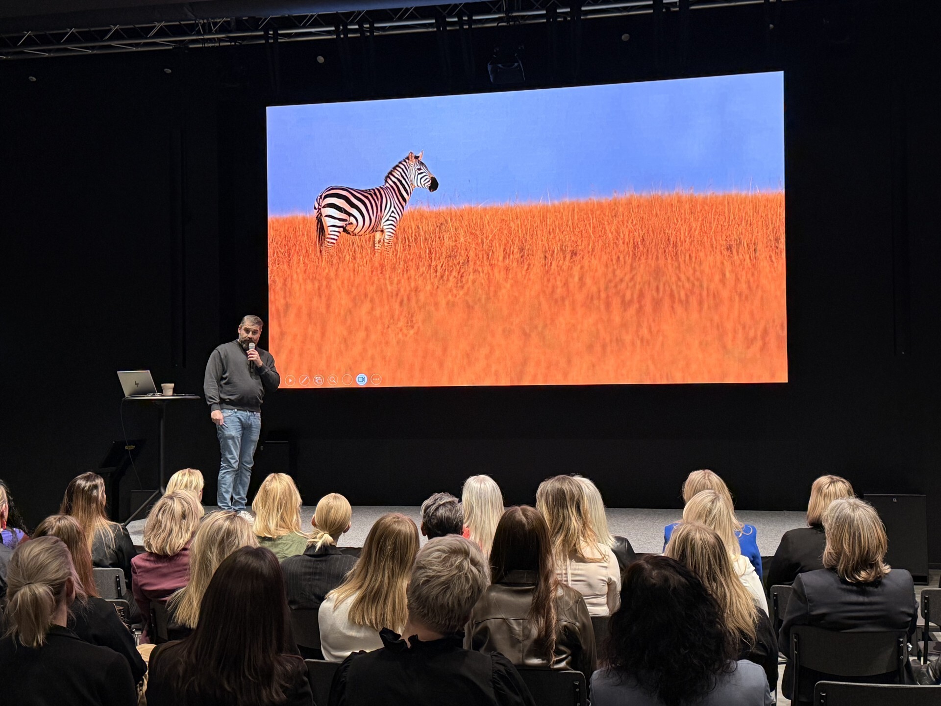 Vassa Zebra Vassa Zebra